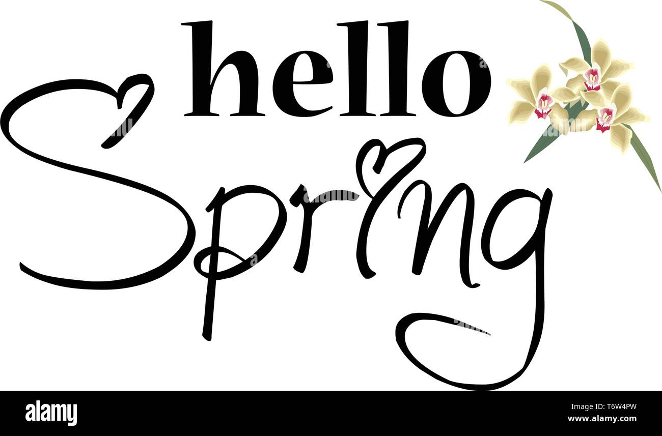 Spring text design, new spring collection, vector illustration Stock