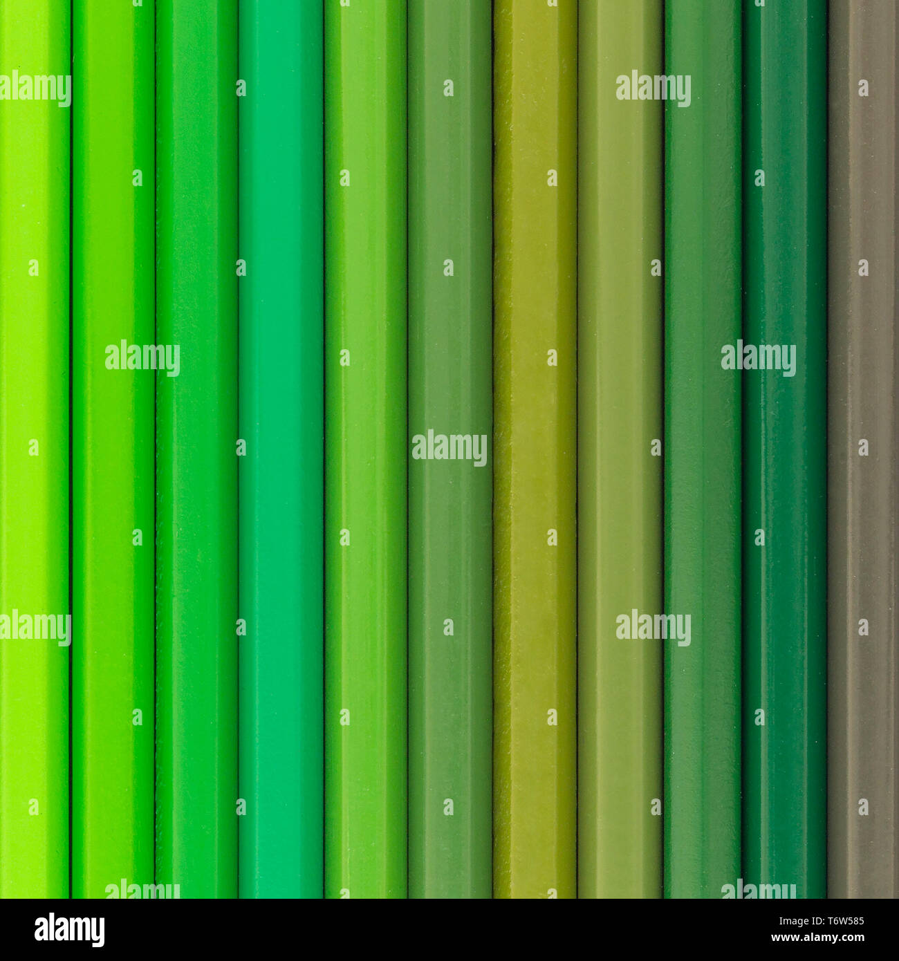 Green colored pencils background top view Stock Photo