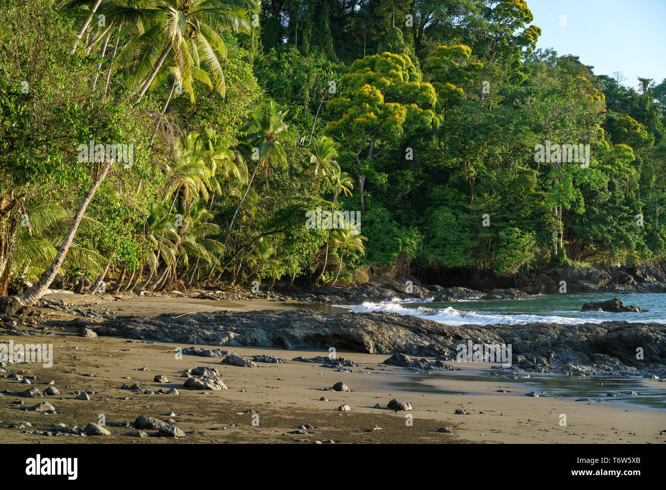 Wild natural beach lined by tropical rainforest Stock Photo