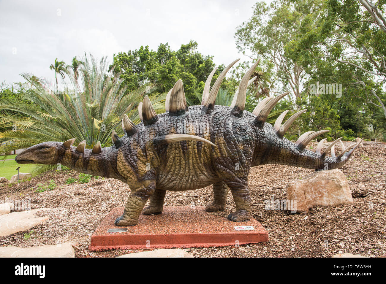 Darwin, Northern Territory, AustraliaFebruary 1,2019 Brown Botanic Gardens cycad garden