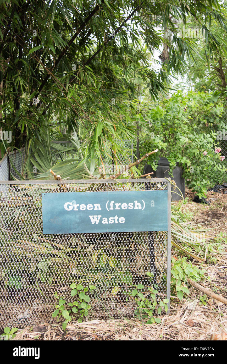 Darwin, Northern Territory, AustraliaFebruary 1,2019 Snakebean