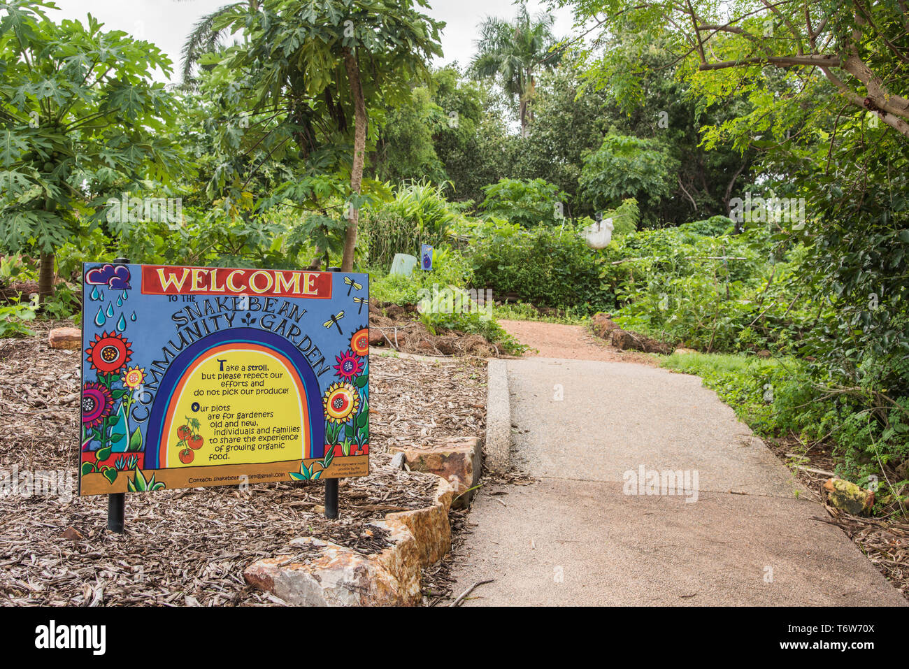 Darwin, Northern Territory, AustraliaFebruary 1,2019 Snakebean