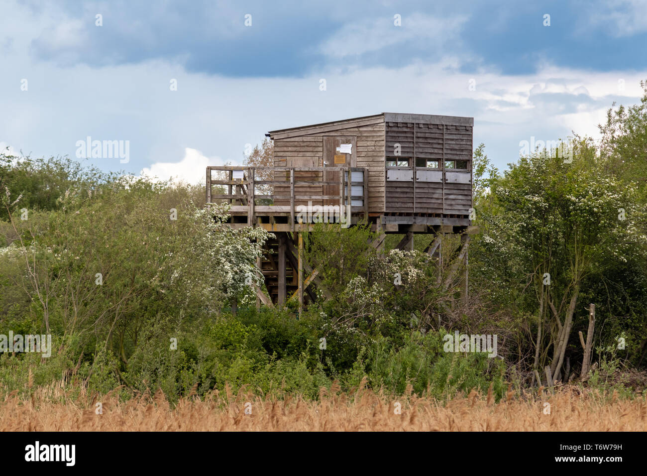 Elevated Bird Hide at Attenborough Nature Reserve Lakes and River Trent.Nottingham.England Stock Photo