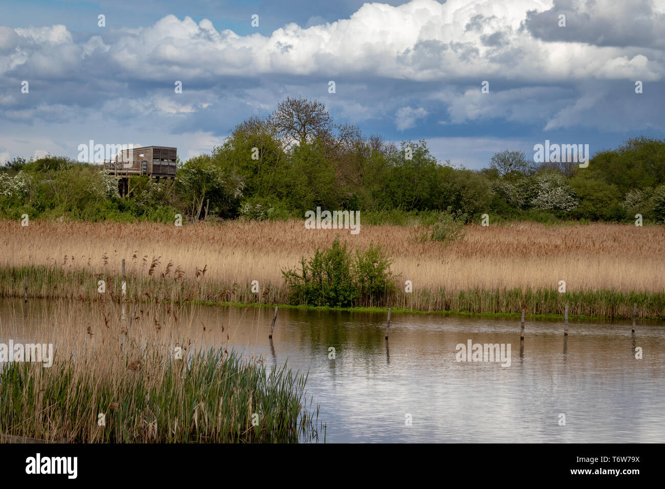 Elevated Bird Hide at Attenborough Nature Reserve Lakes and River Trent.Nottingham.England Stock Photo