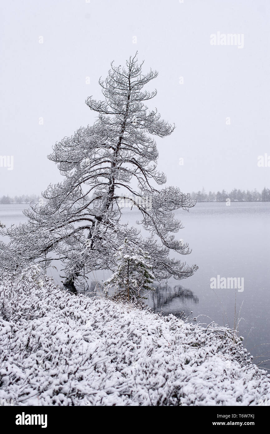 Wet land slough hi-res stock photography and images - Alamy