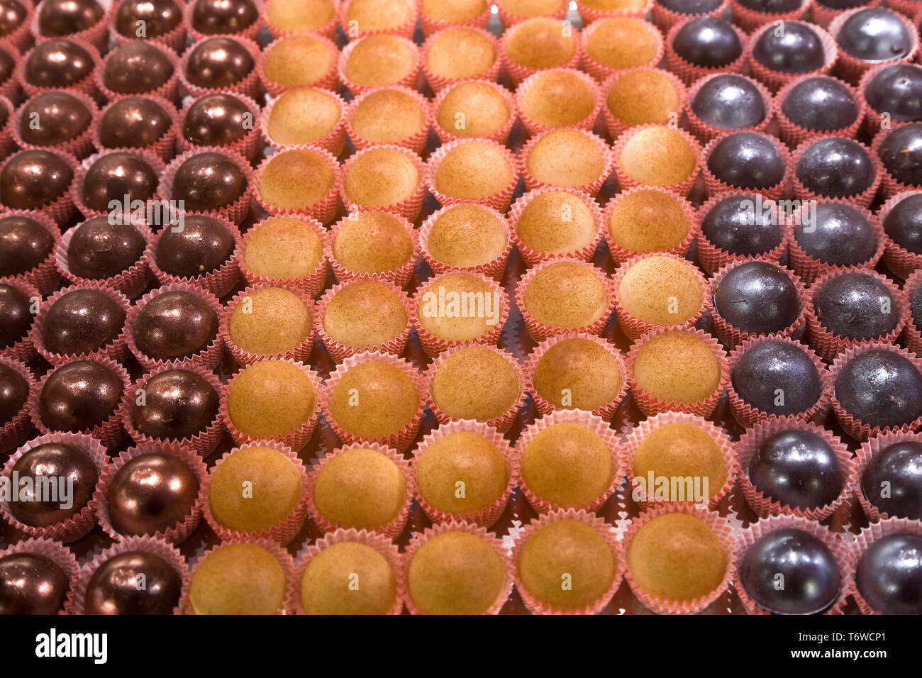 Rovereto, Exquisita (negozio di vini, cioccolato e sapori): praline di cioccolato ripiene di una gelatina di grappa trentina.  [ENG]  Rovereto, Exquis Stock Photo