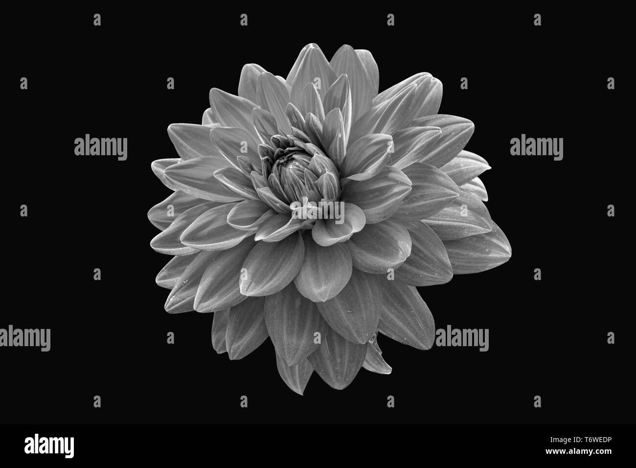 Only blur background Black and White Stock Photos & Images - Alamy