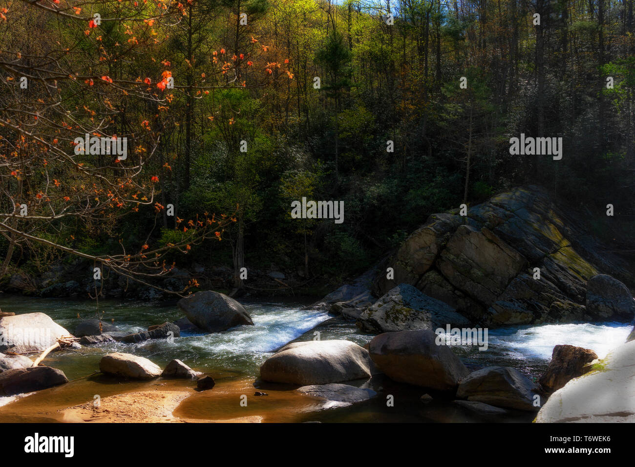 Pisgah national forest hires stock photography and images Alamy