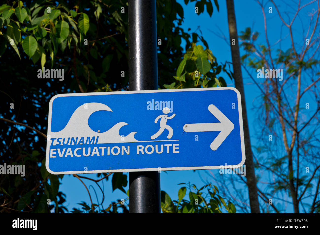 Tsunami warning khao lak