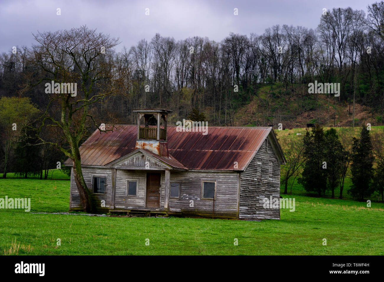 Decaying to the elements, an old school house sits abandonded in a pasture under cloudy skies with misty rain. Stock Photo