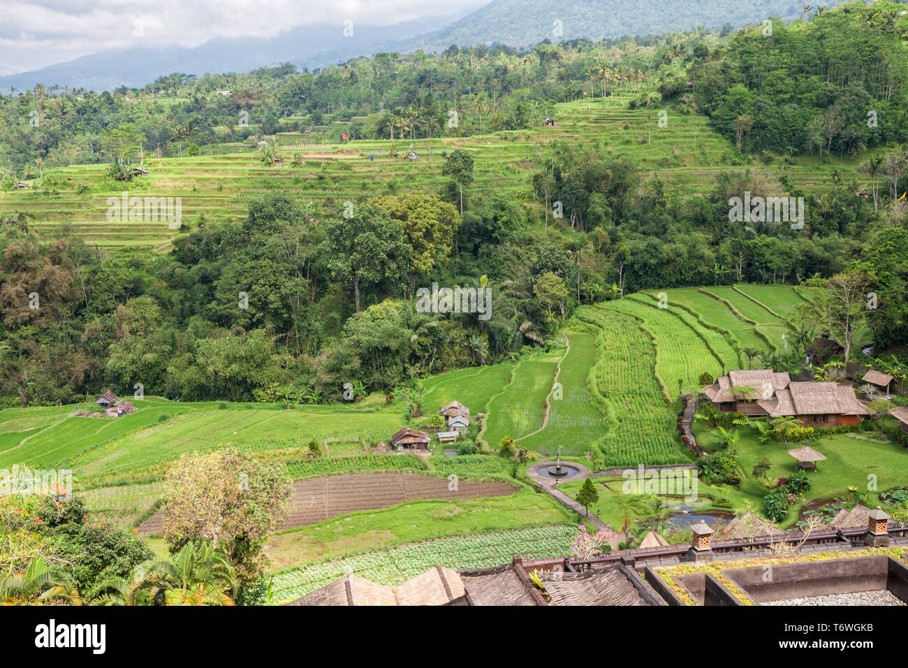 Bali rural landscape, farm and rice fields top view Stock Photo