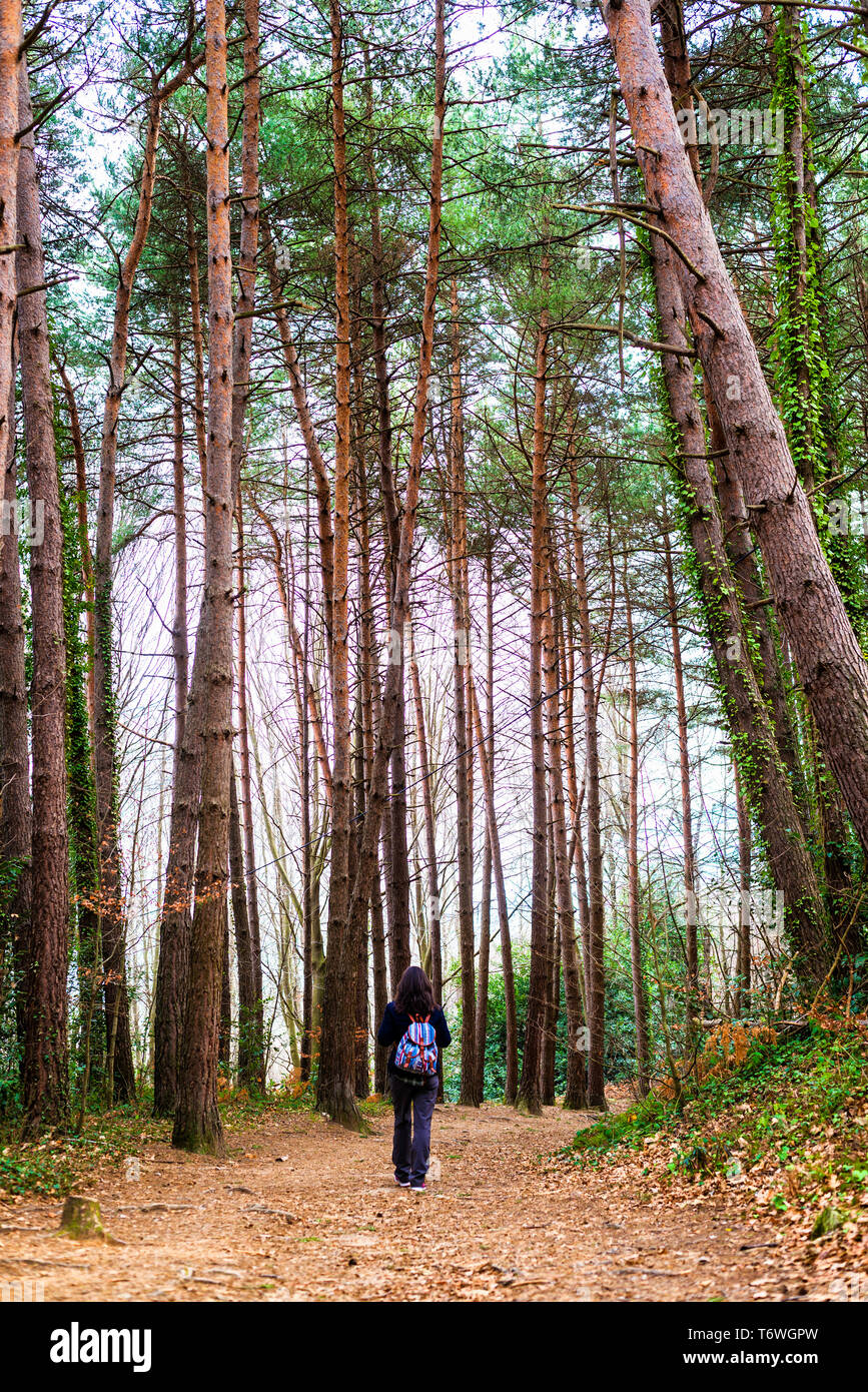 Beautiful woman hiking leaves hi-res stock photography and images - Alamy