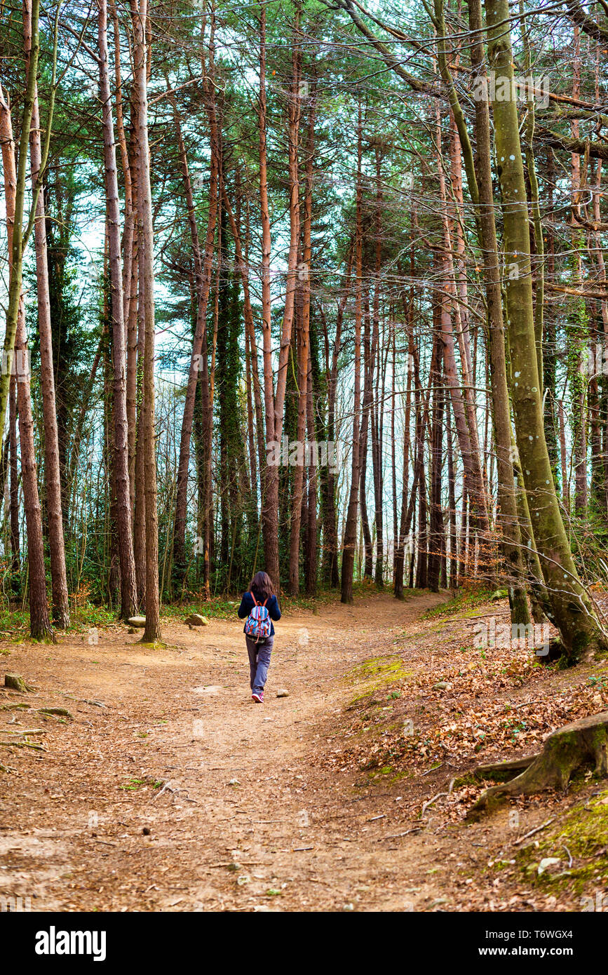 Rear view of backpacker woman hiking on getaway in the forest Stock ...