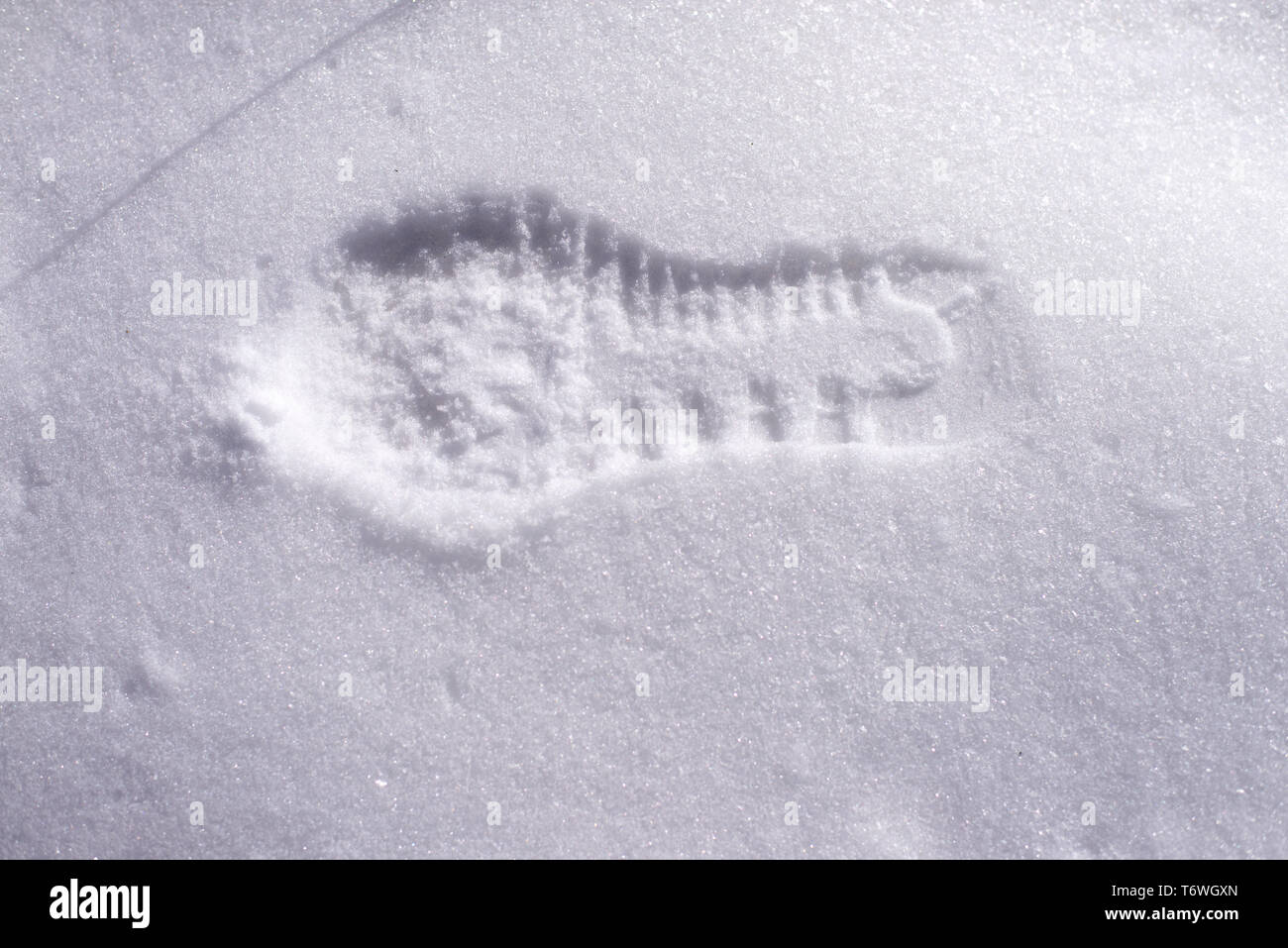 Above view of a footprint on snow in a sunny day Stock Photo