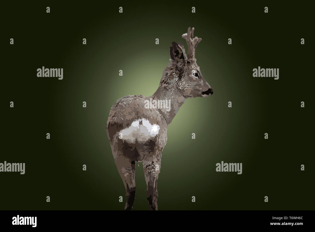 illustration of young deer, over green  background Stock Photo