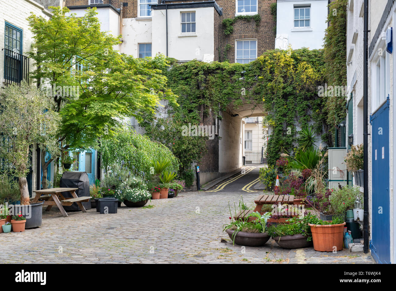 Houses and small trees and shrubs in containers in Bathurst Mews, Hyde Park Estate, Bayswater, London, England Stock Photo