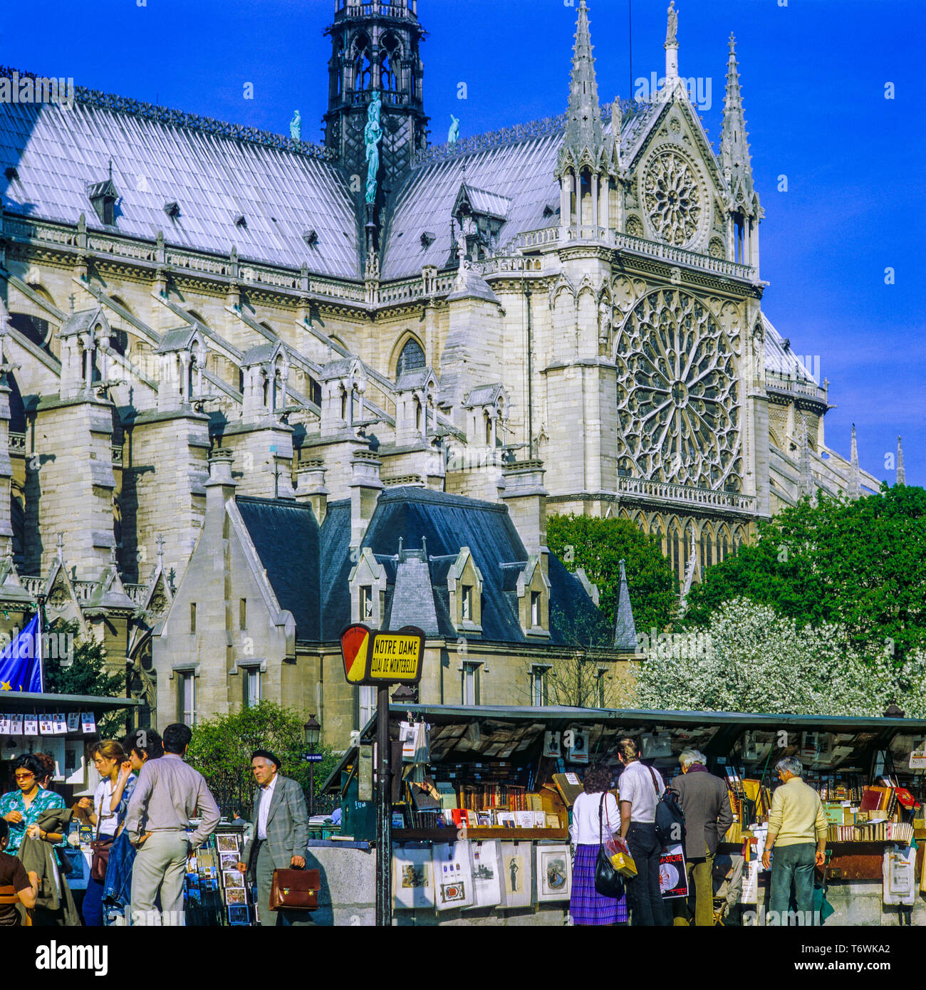 Bouquinistes second hand booksellers, Notre-Dame de Paris cathedral before the fire of April 15, 2019, south facade, Paris, France, Europe, Stock Photo
