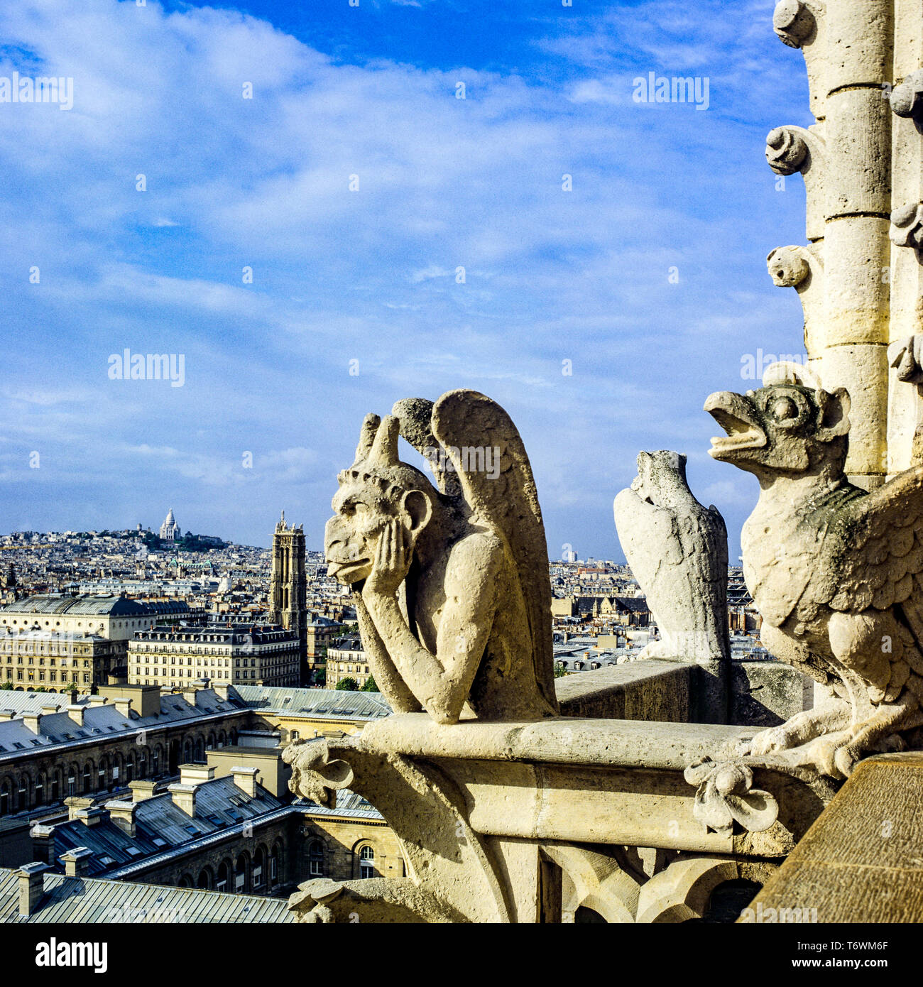 Chimera La Stryge statue, Strix chimera gazing at the city, Notre-Dame ...