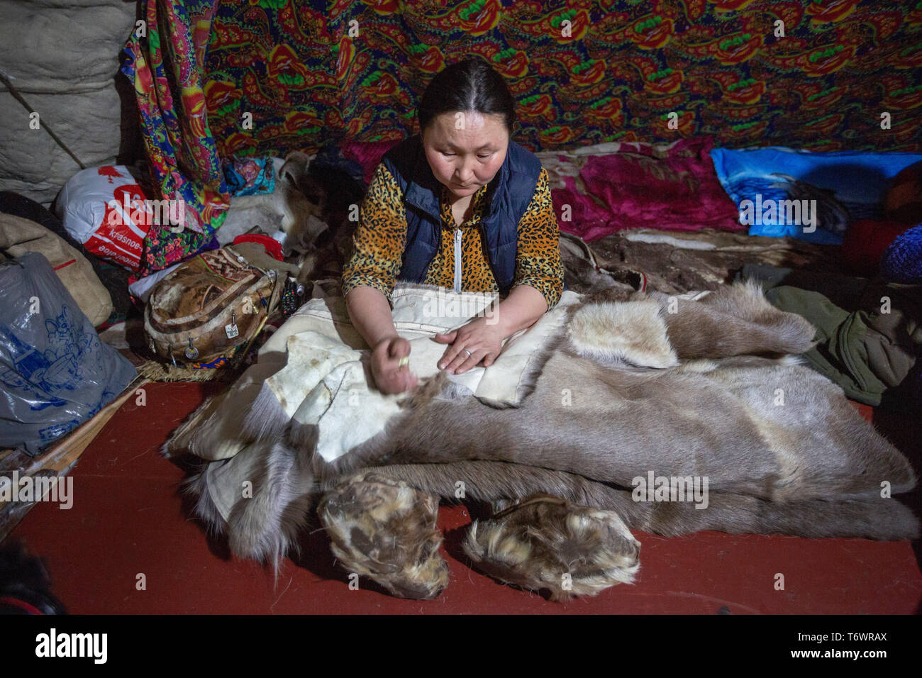 Russia, Yamal-Nenets Autonomous Region, Yamal peninsula. Nomadic Nenets reindeer herders at camp.  Woman inside typical tent aka chum sewing. Stock Photo