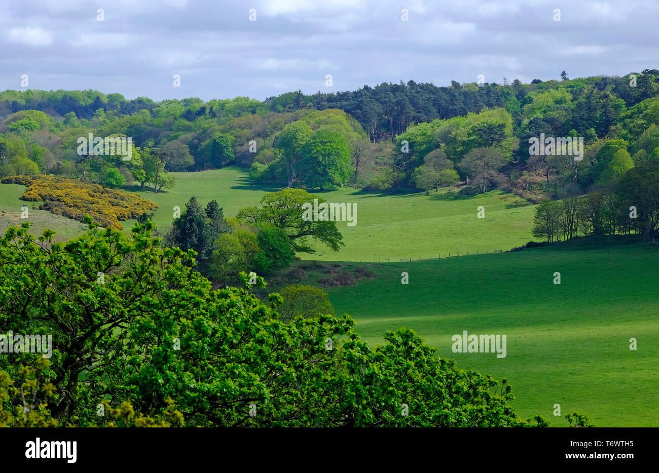 sheringham park, north norfolk, england Stock Photo Alamy