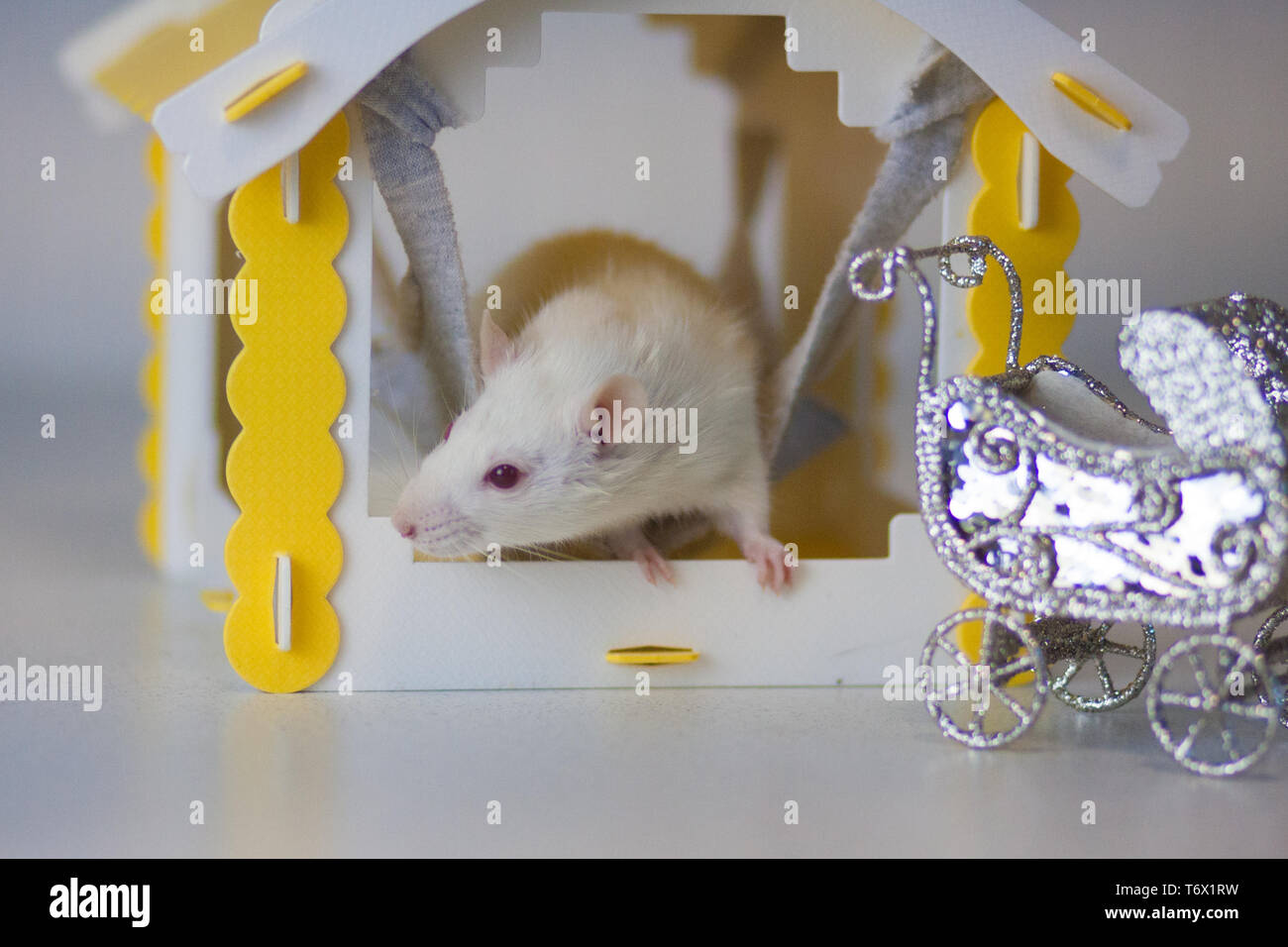 Beautiful Home Come To Visit Funny Games Rat Hole Mouse Hole