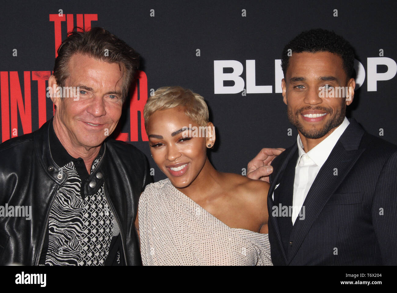 Dennis Quaid, Meagan Good, Michael Ealy and Joseph Sikora Cast In Deon  Taylor's The Intruder 