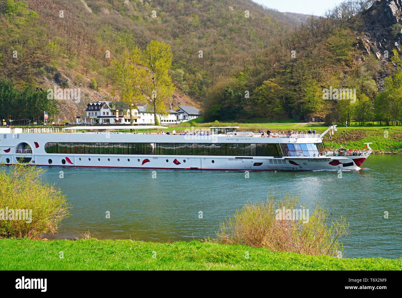 A-Rosa Flora river cruise ship on Moselle River at Muden, Germany Stock ...