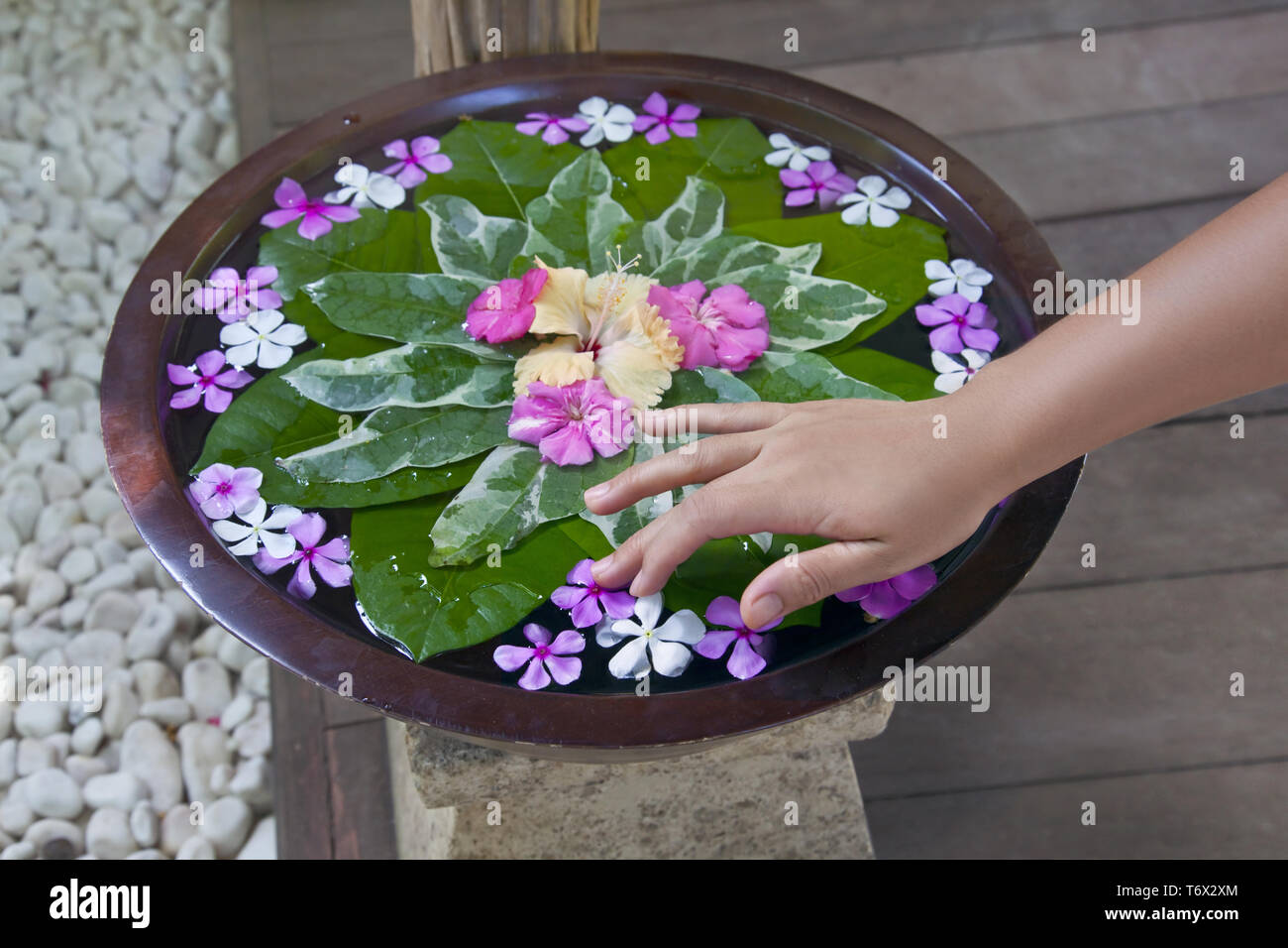 Hand bowl hi-res stock photography and images - Alamy