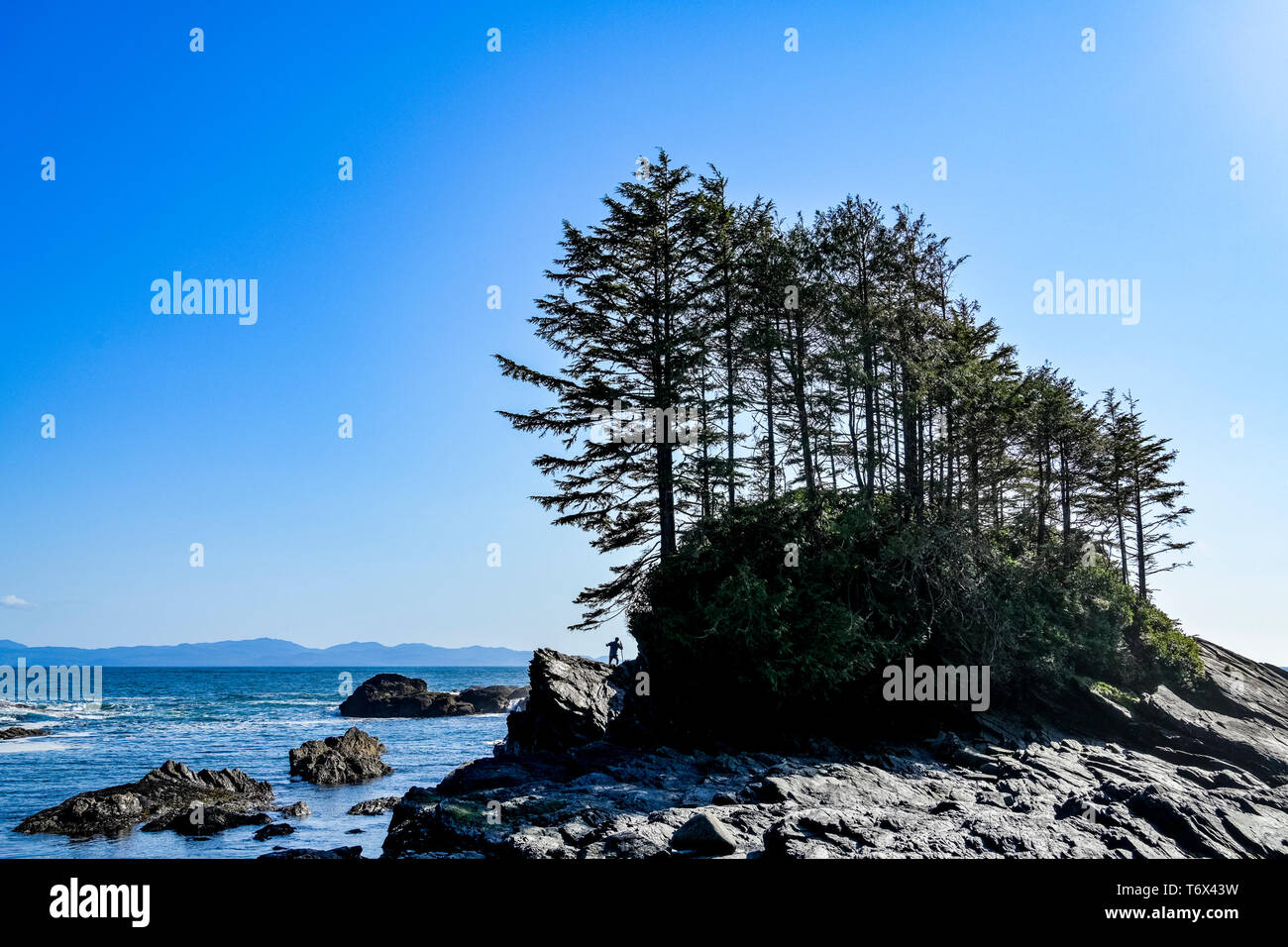 Hiker, Botany Bay, Botanical Beach, Beach Provincial Park, Vancouver Island, British Columbia, Canada Stock Photo