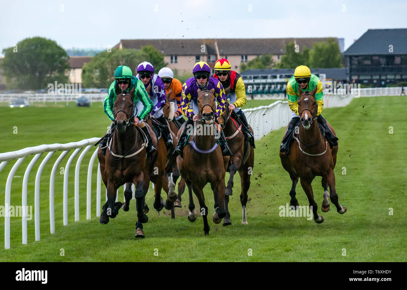 Flat Horse Racing High Resolution Stock Photography And Images Alamy