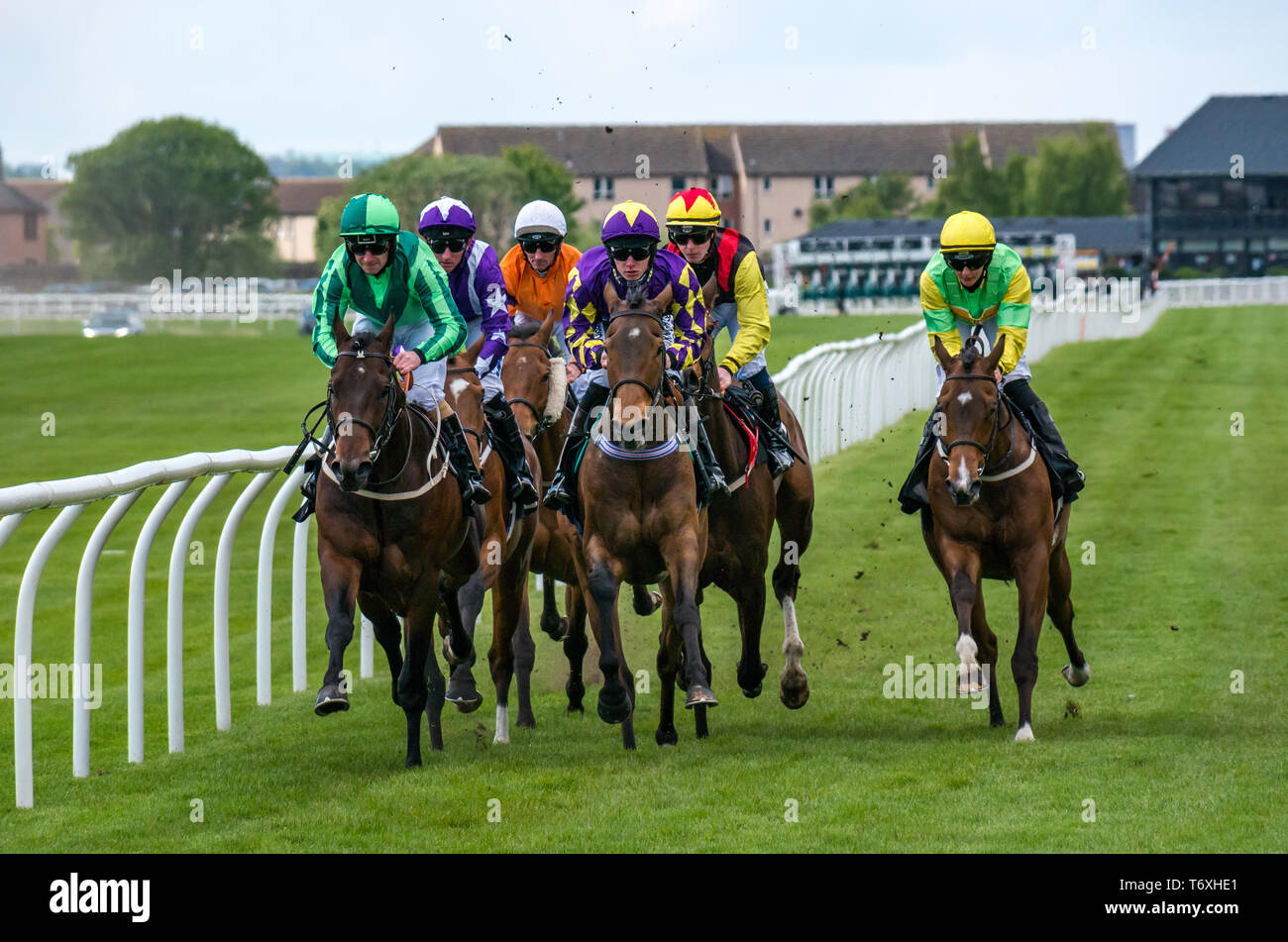 Musselburgh, East Lothian, Scotland, United Kingdom. 3rd May, 2019. Flat Horse Racing : 14.55 Weatherbys Stallion Book Handicap race. The horses race along the straight first stretch with Coolagh Forest ridden by Paul Hanagan the winner identified by a purple jersey with stars Stock Photo