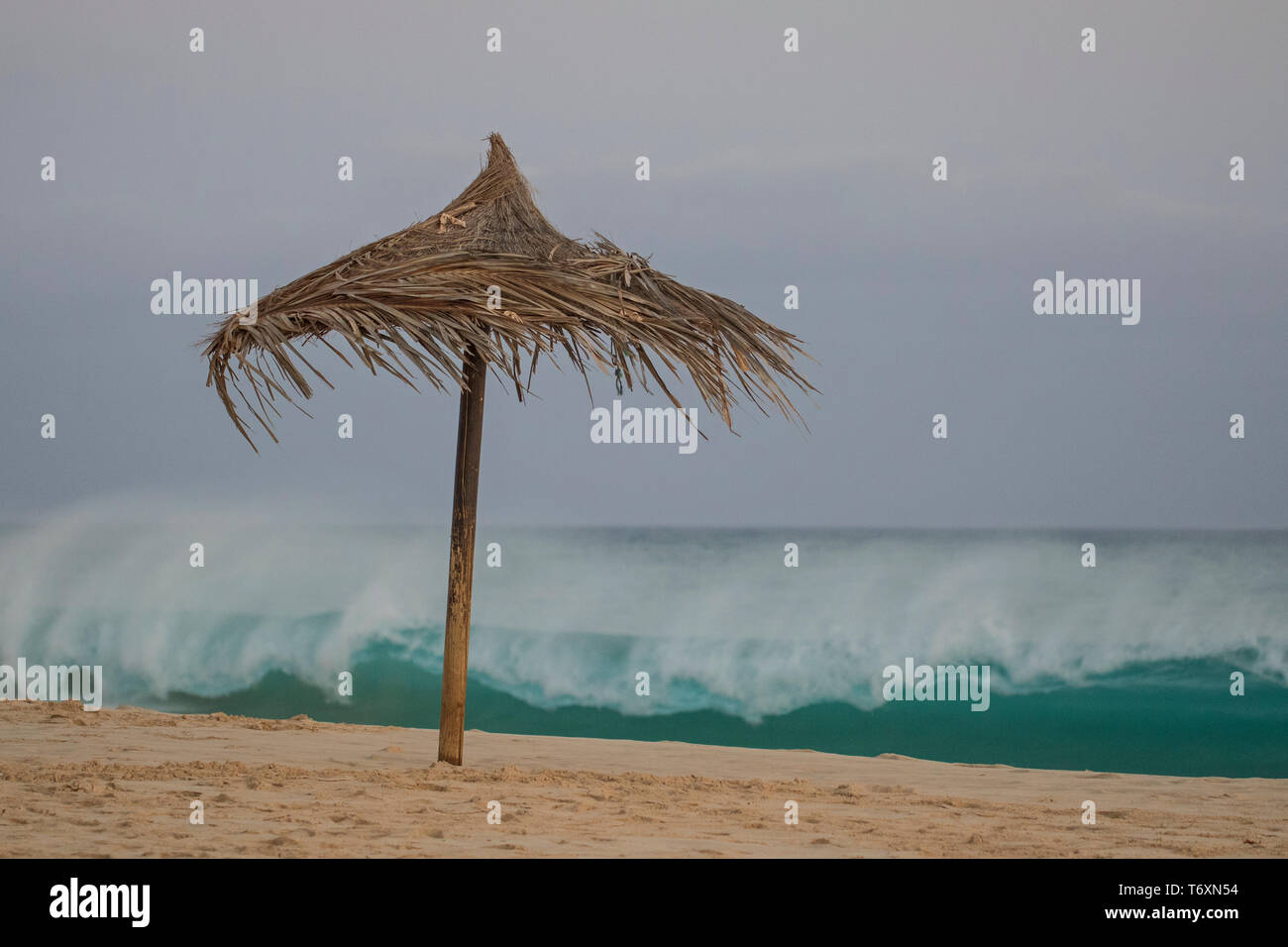 Rough sea and palm leaf umbrella, Praia Lacacao, Santa Monica, Boa Vista Stock Photo