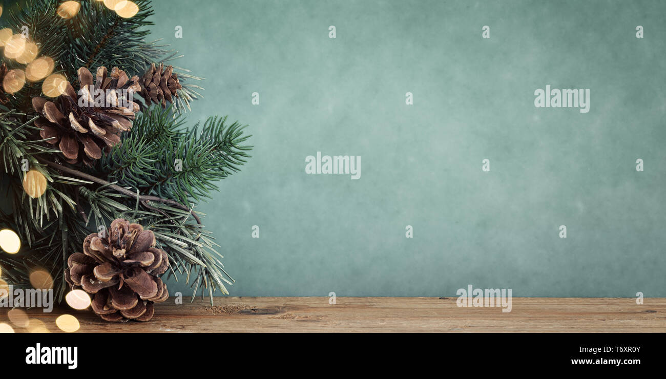 twig with pine cones bokeh background Stock Photo