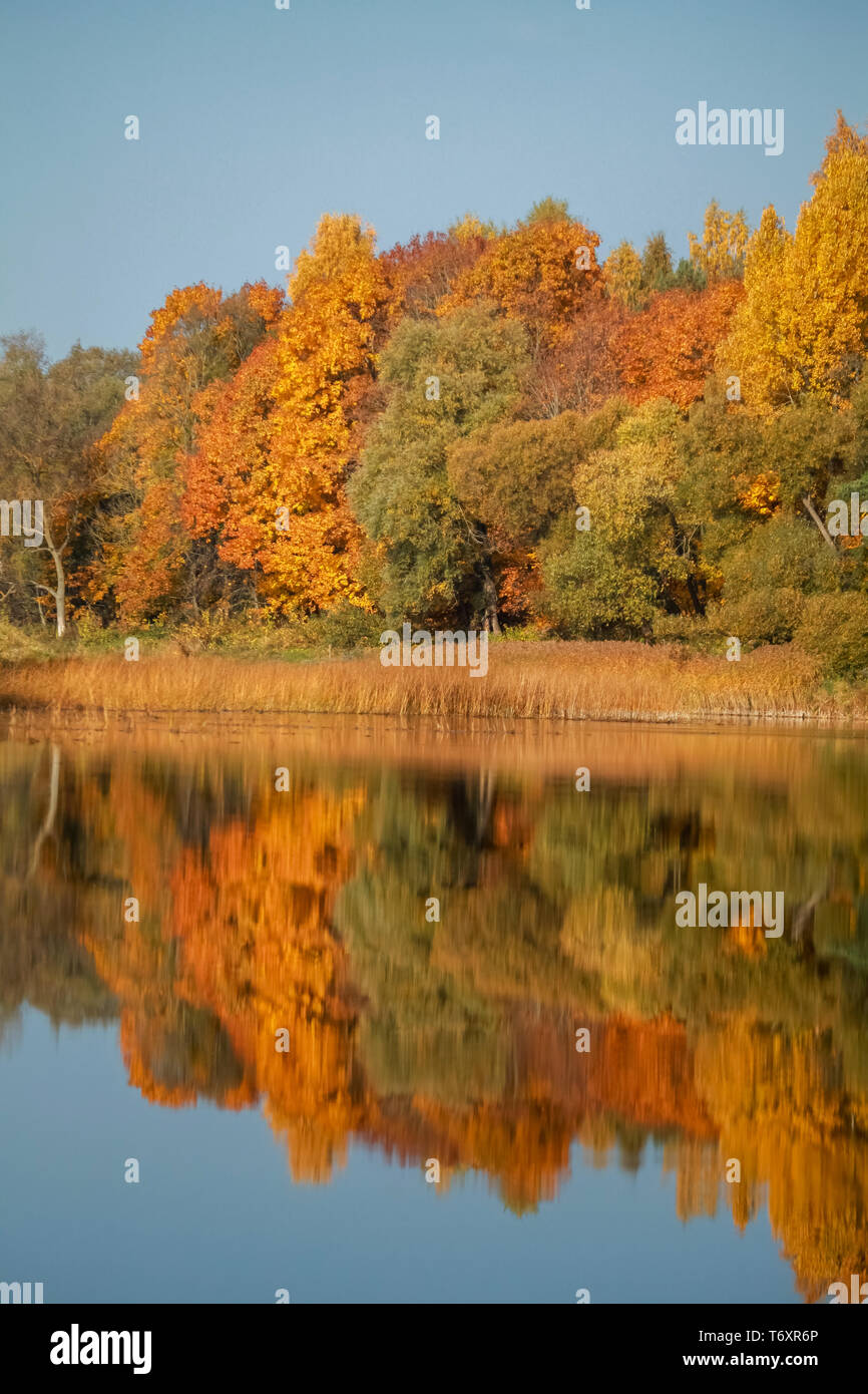 Autumn landscape with colorful trees and reflection in river. Stock Photo