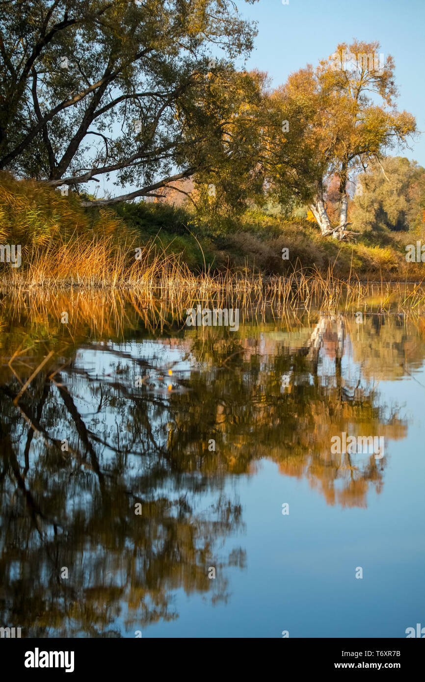 Autumn landscape with colorful trees and reflection in river. Stock Photo