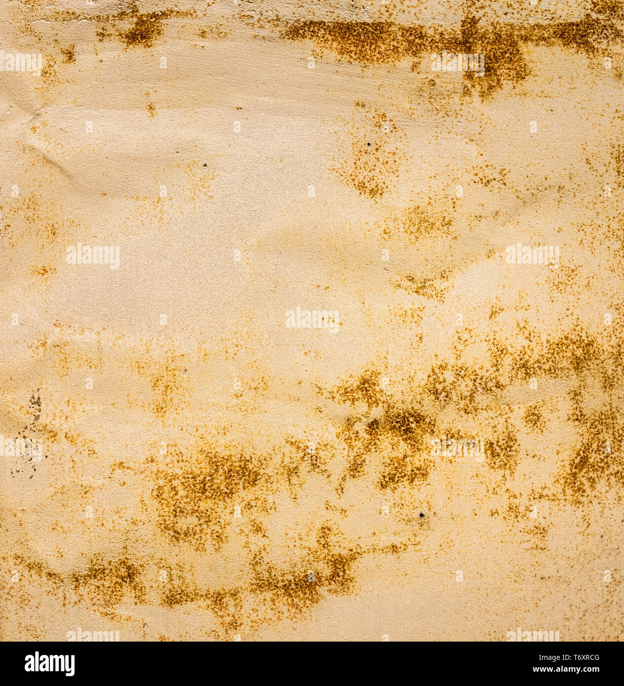 grunge wall, highly detailed textured background Stock Photo