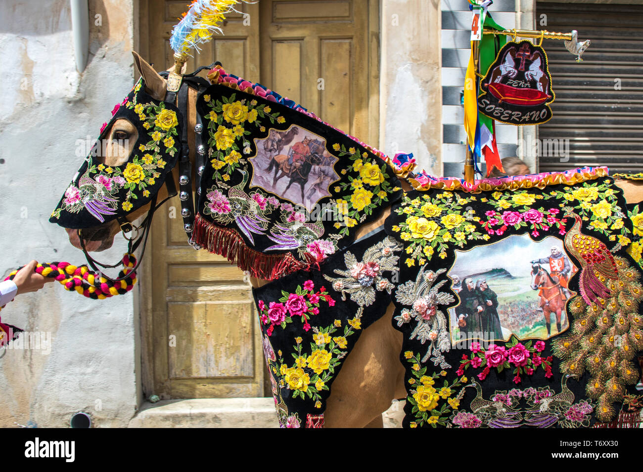 Caravaca de la Cruz, Spain, May 2, 2019: Horses being paraded at Caballos Del Vino, Caravaca. Spanish celebrations of Wine horses, caballo del vino. Stock Photo