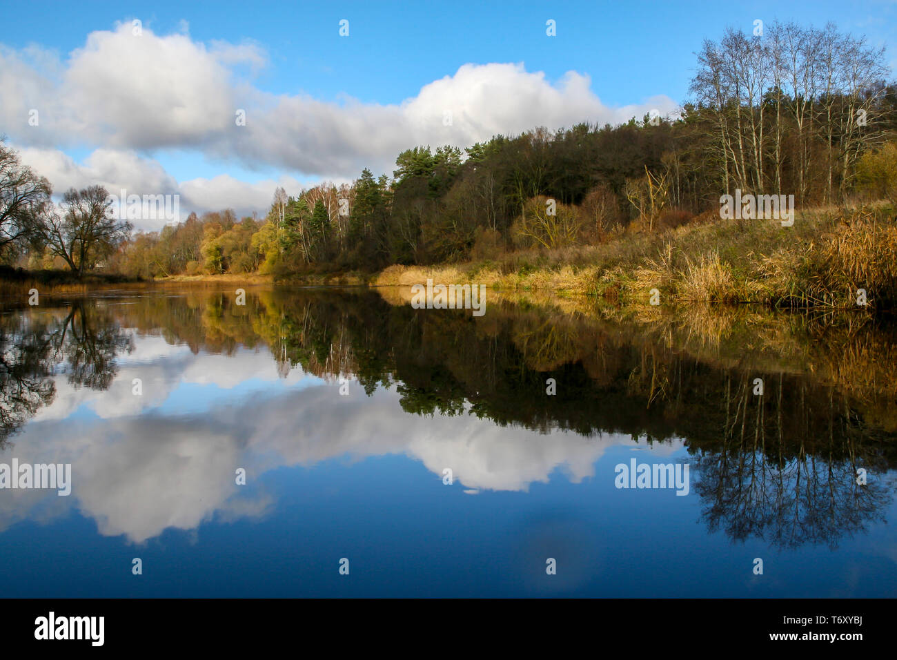 Autumn landscape with colorful trees and river. Reflection in river. Stock Photo