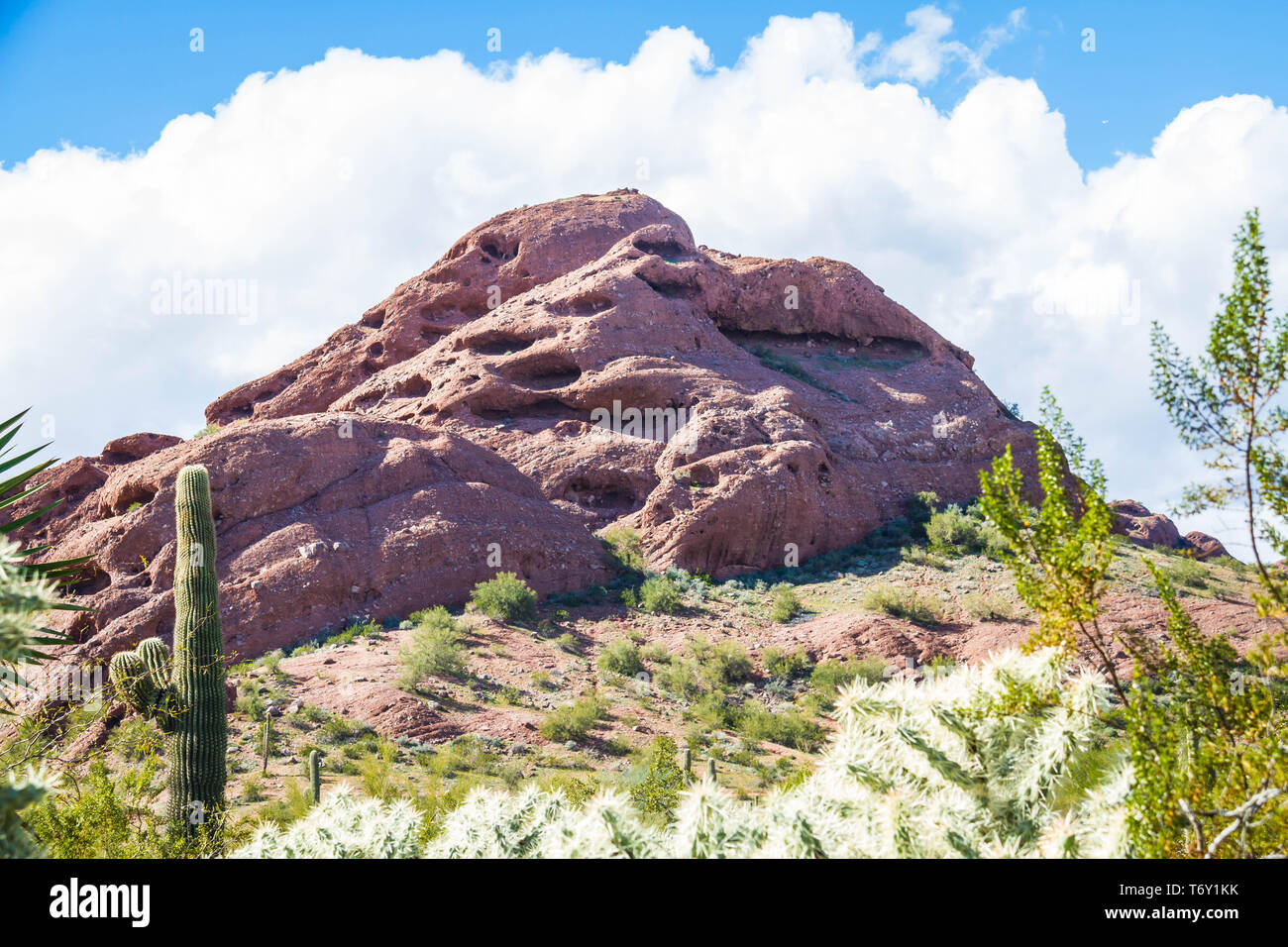 The Papago mountains of Phoenix with a brilliant blue sky and puffy white clouds with desert plants below. Stock Photo