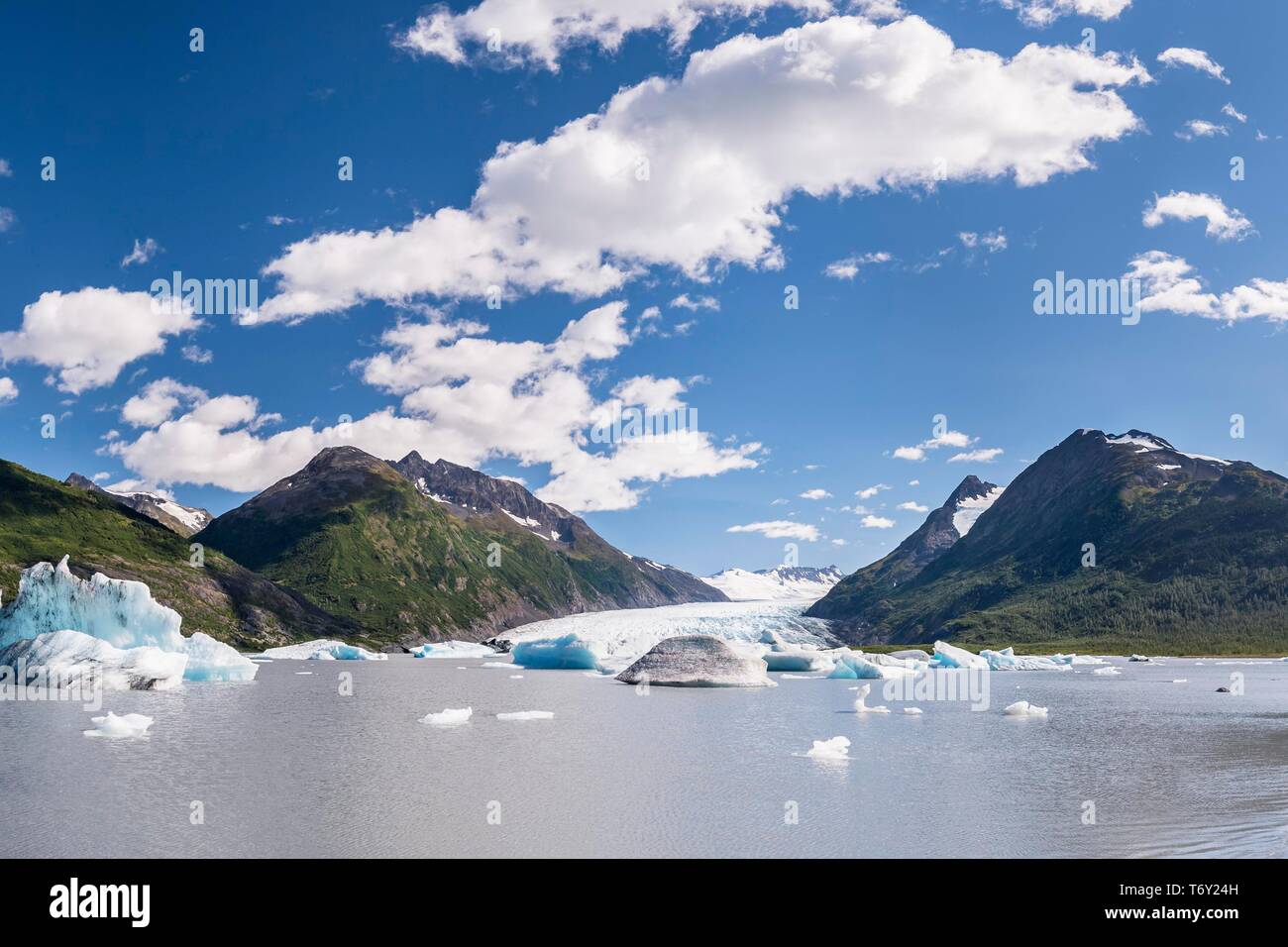 Spencer Glacier, Glacial lake with icebergs, Chugach National Forest, Kenai Peninsula, Alaska, USA Stock Photo