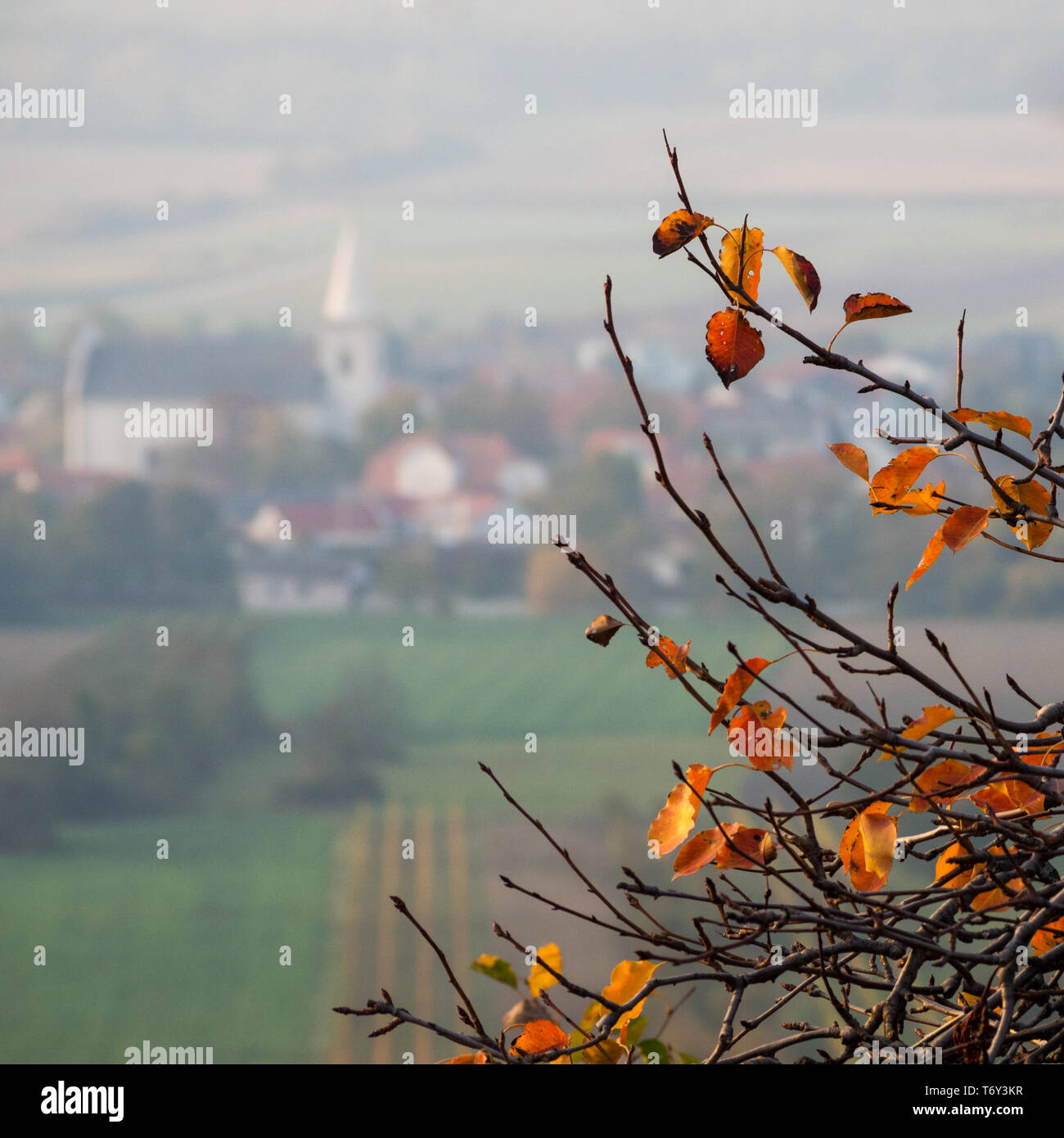 Village with church in autumn Stock Photo