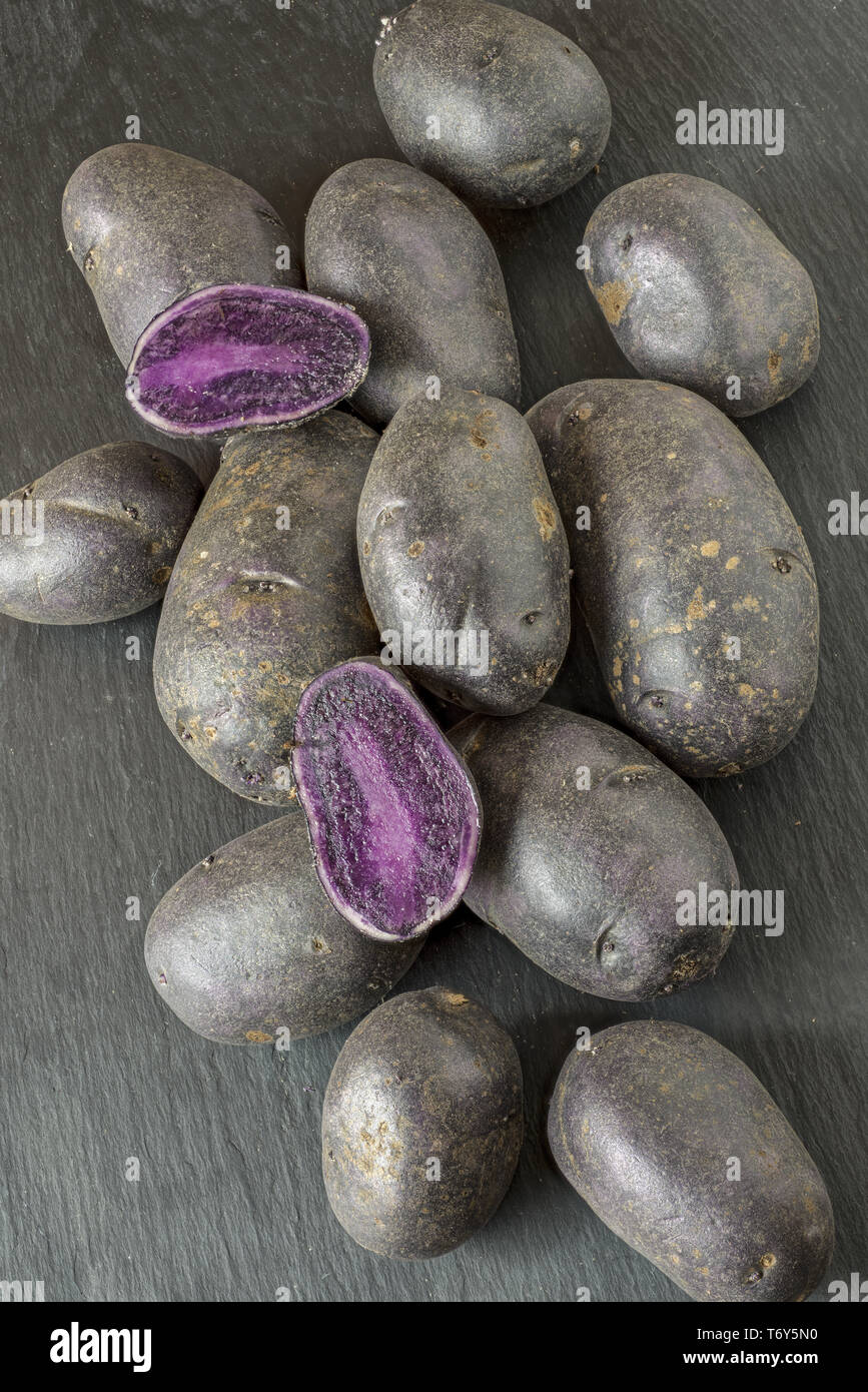 Potato variety Prunelle Stock Photo