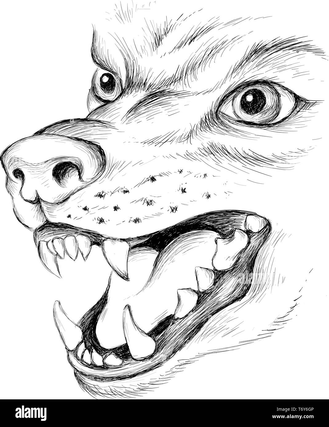 Werewolf And Full Moon Original Art Pencil Drawing 