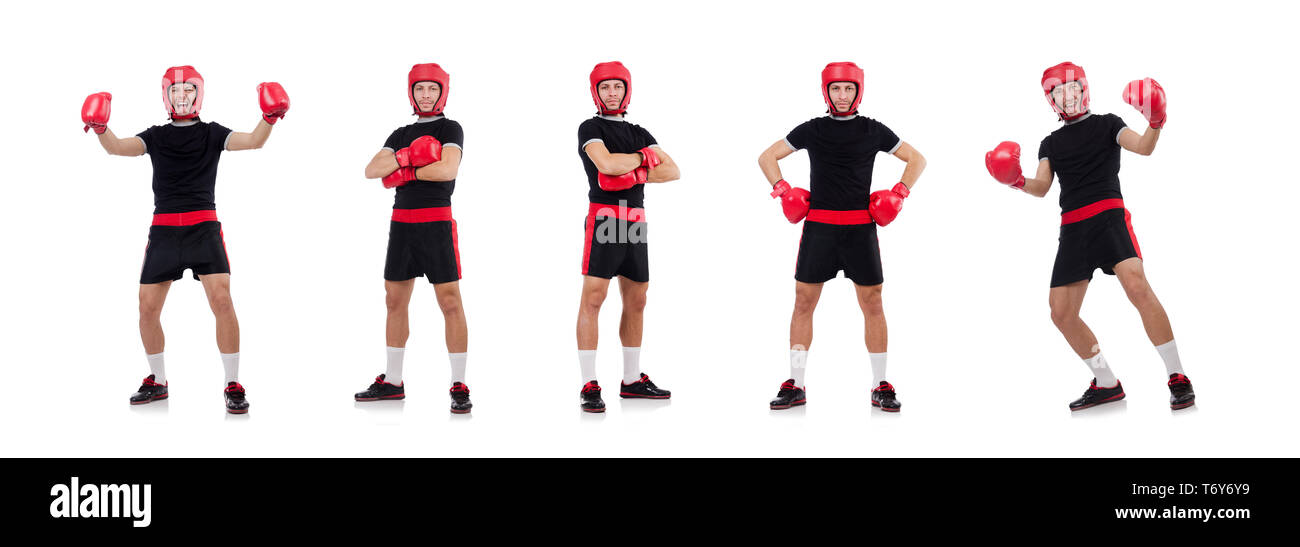 Funny boxer isolated on the white Stock Photo - Alamy