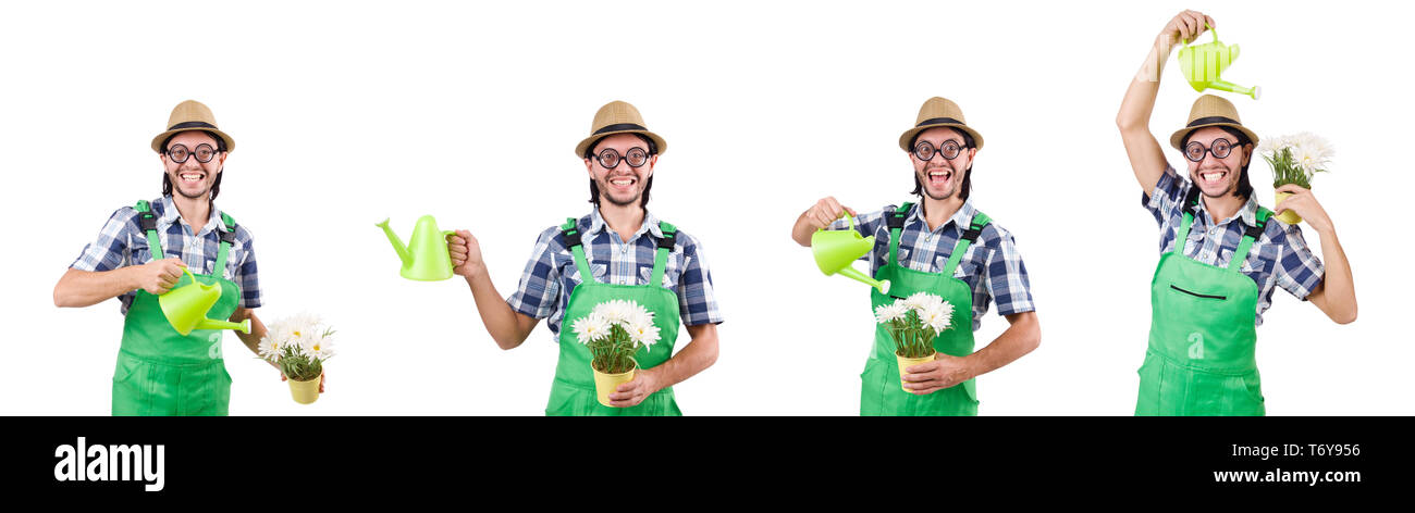 Funny gardener with watering can isolated on white Stock Photo - Alamy