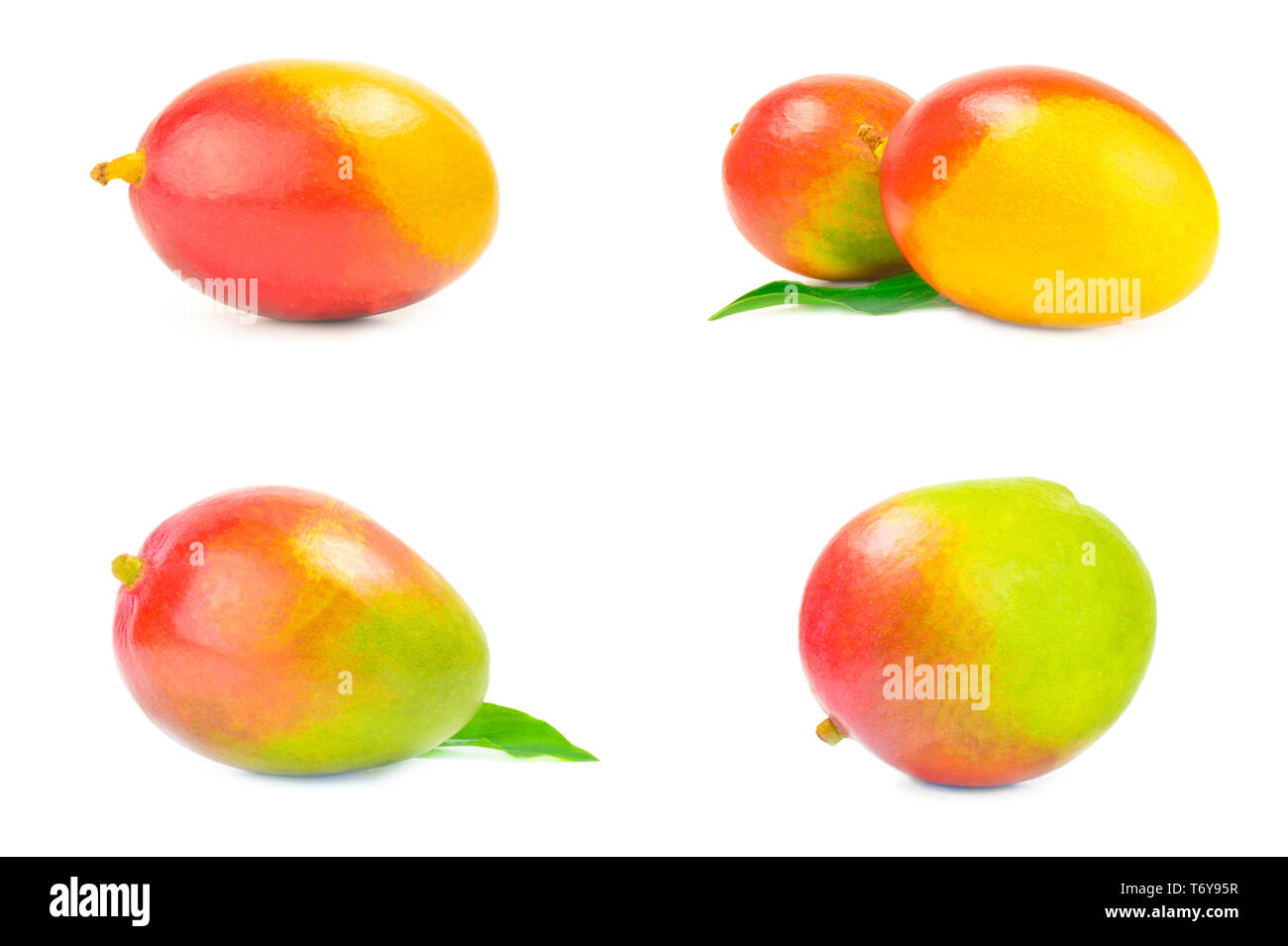 Set of red mango on a white background Stock Photo Alamy