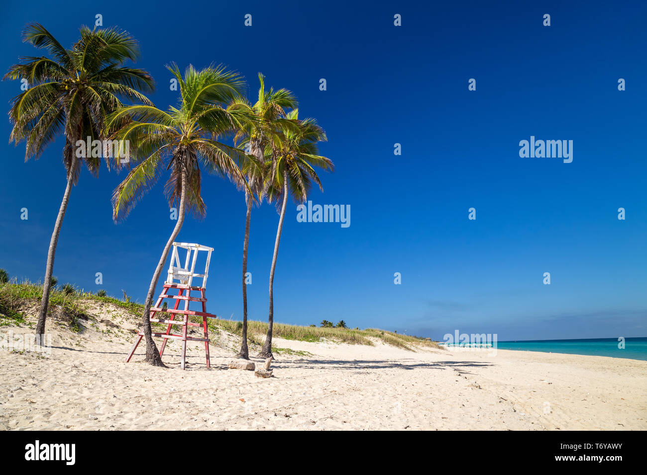 Lifeguard chair under palm trees on a paradise beach Stock Photo
