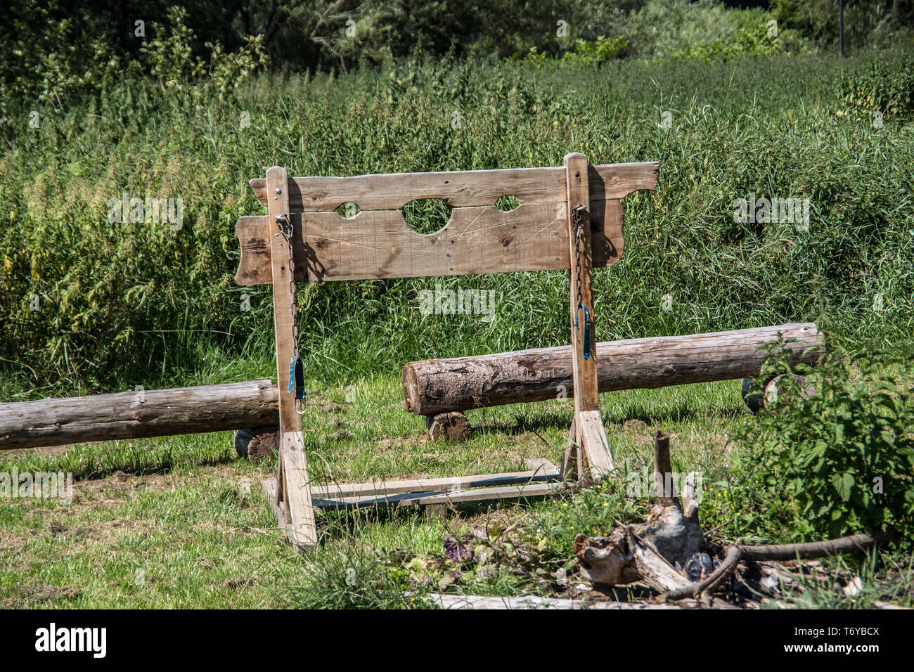Pillory on village meadow Stock Photo Alamy