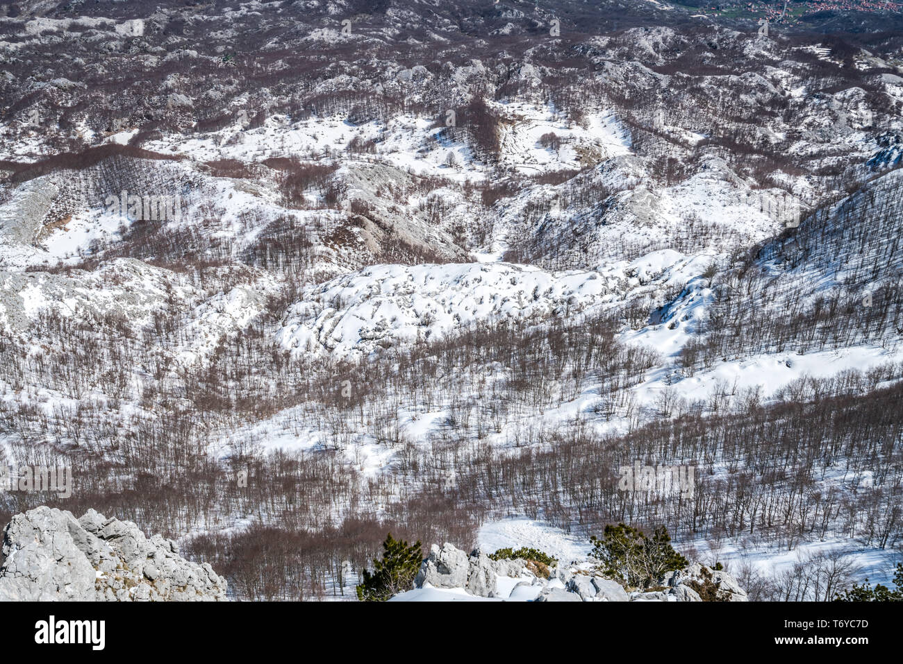 Winter landscape of trees and hills in snow Stock Photo