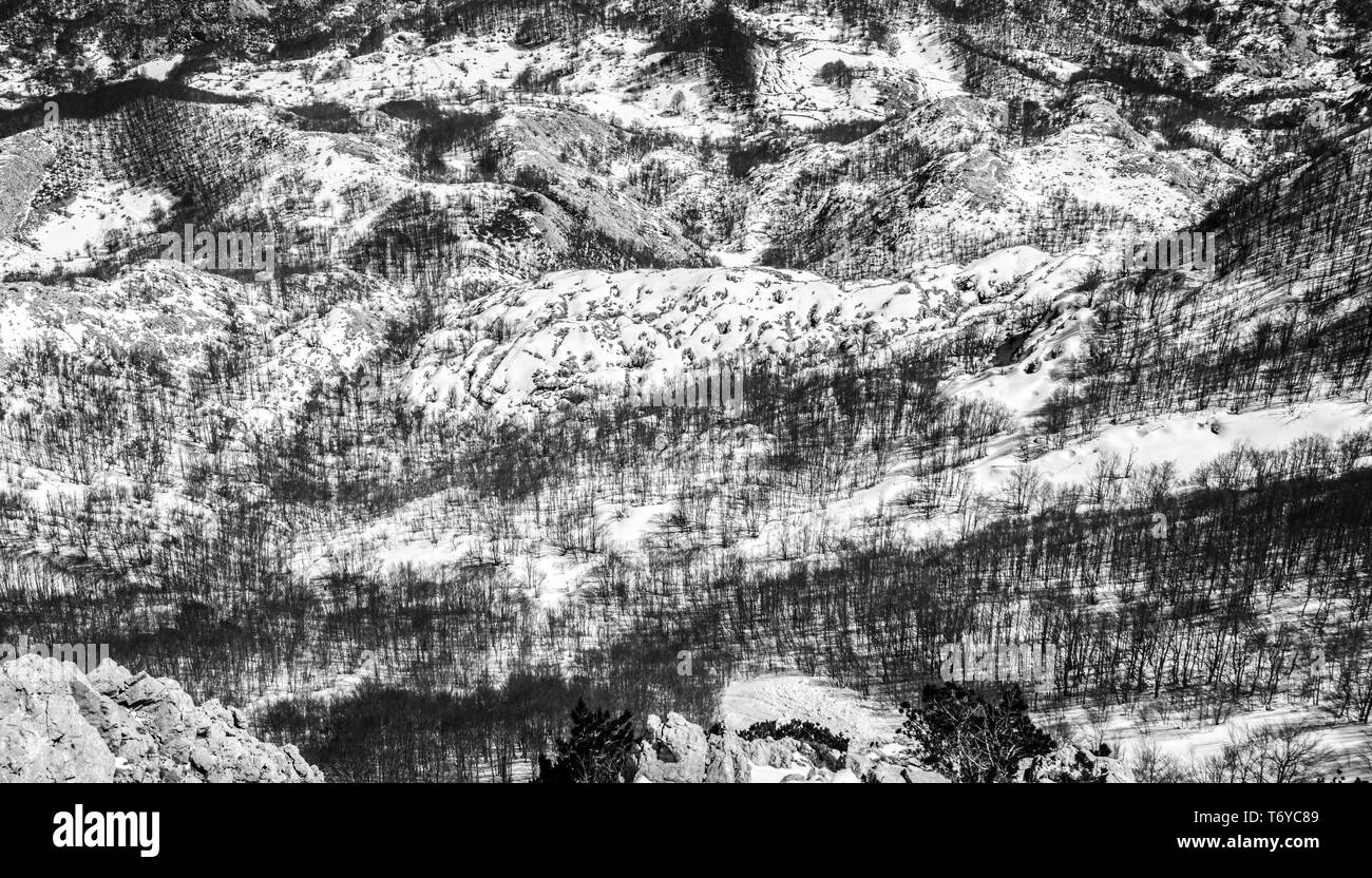 Abstract winter landscape in black and white Stock Photo - Alamy